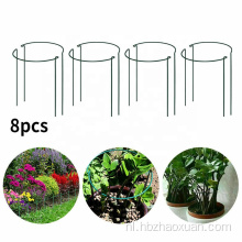 Tomatenkooi Garden Buiten Flower Climbing Plant Support